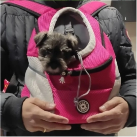 Pet Backpack Portable Portable dog Double Shoulder bag Outdoor Travel cat Carrier Bag Pet Dog Front Bag Mesh Backpack
