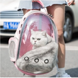 Cat Pet Carrier Backpack Portable Transparent Spac..